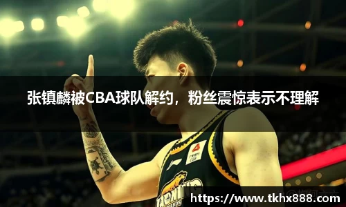 中国·BB贝博艾弗森(股份)有限公司-官方网站