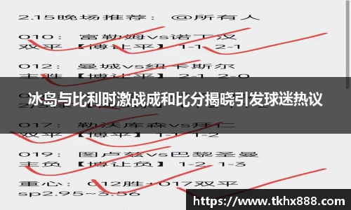 冰岛与比利时激战成和比分揭晓引发球迷热议