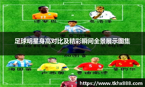 BB贝博中国官网